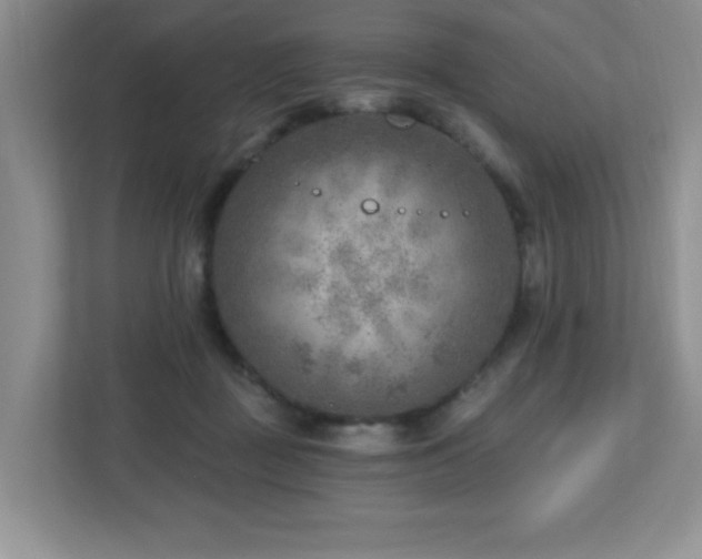 X0000112760363200908201442