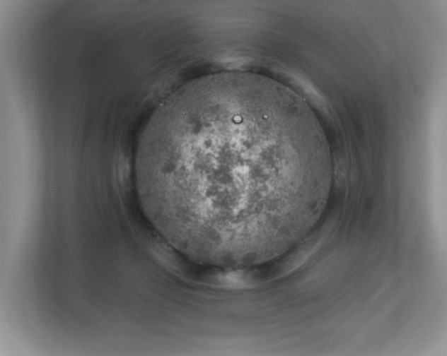 X0000112760365200908201442
