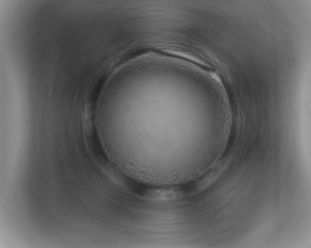 X0000112760366200908201442