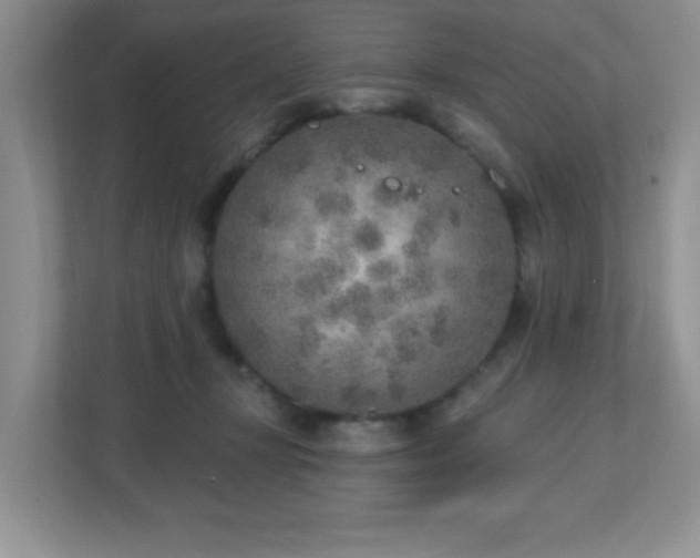 X0000112760367200908201443