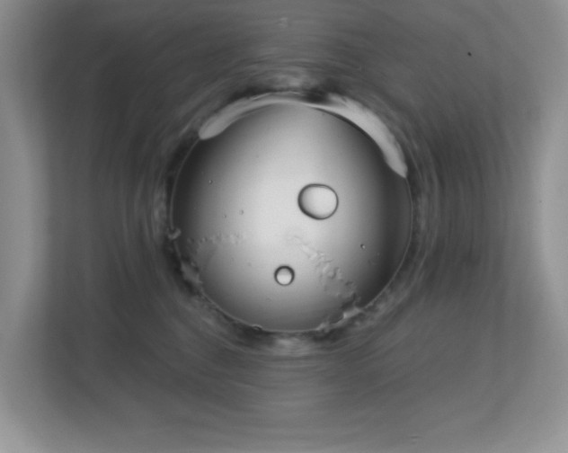 X0000112760376200908201443