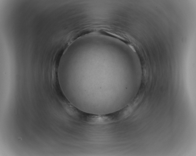 X0000112760379200908201443