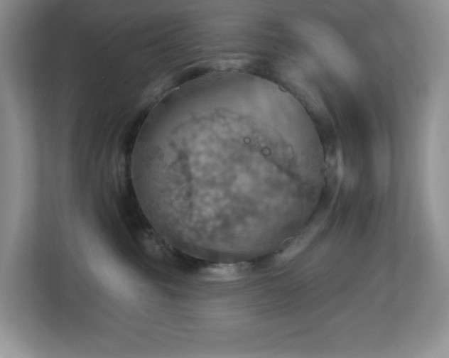 X0000112760381200908201443