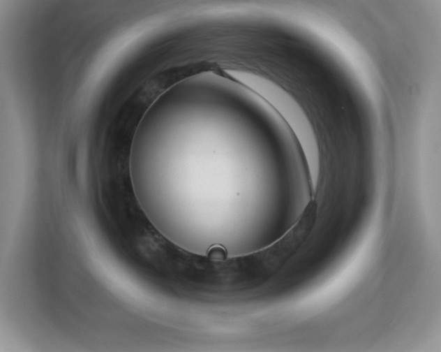 X0000112760382200908201443