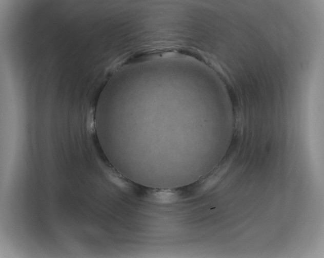 X0000112760383200908201443