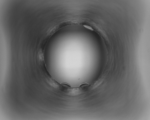 X0000112760384200908201443