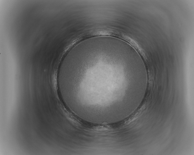 X0000112760386200908201442