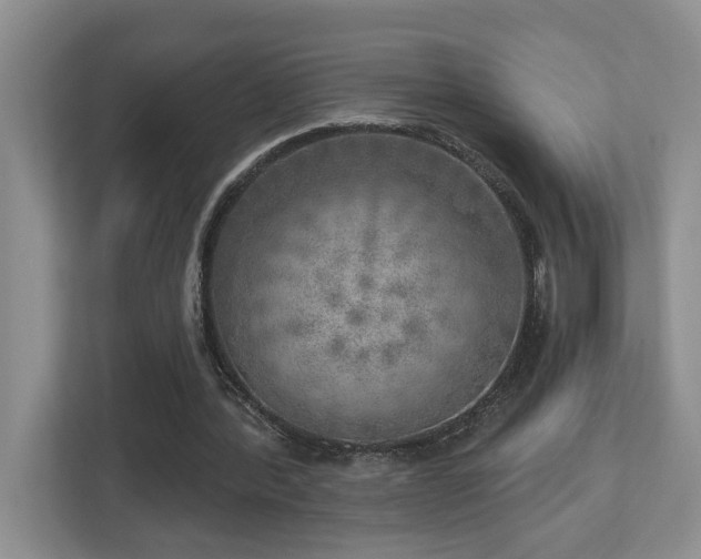 X0000112760388200908201442