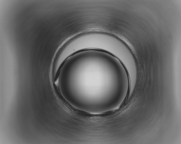 X0000112760391200908201442