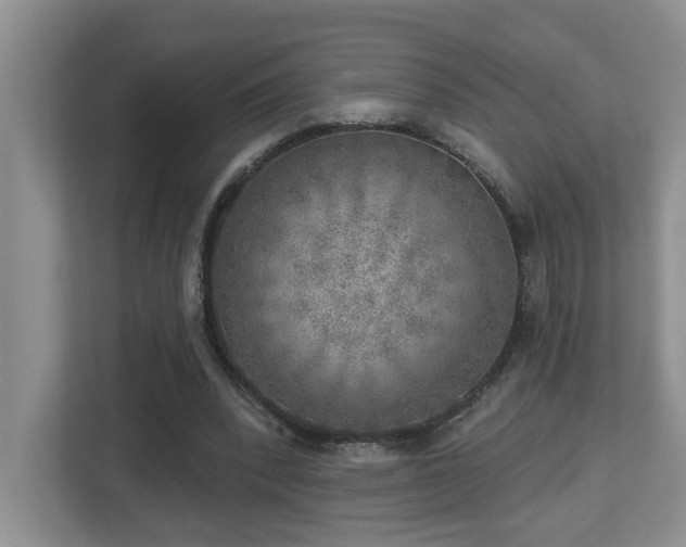 X0000112760392200908201442