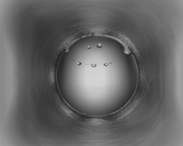 X0000112760393200908201442