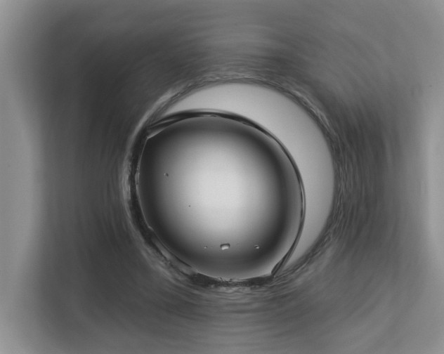 X0000112760395200908201442