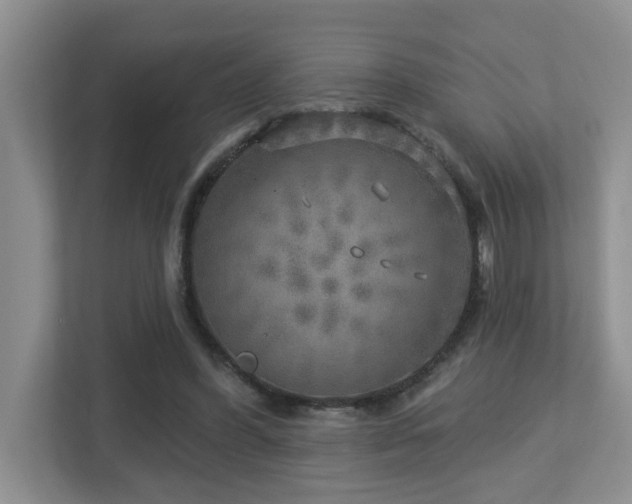 X0000112760396200908201442