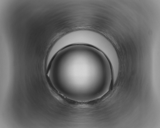 X0000112760397200908201442
