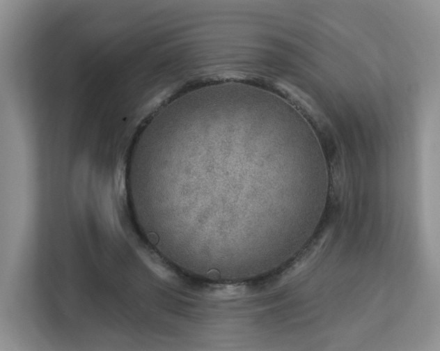 X0000112760398200908201442