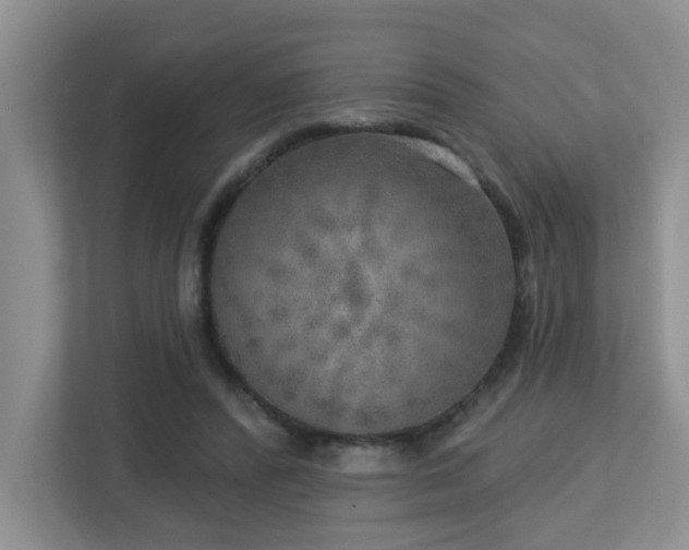 X0000112760400200908201442