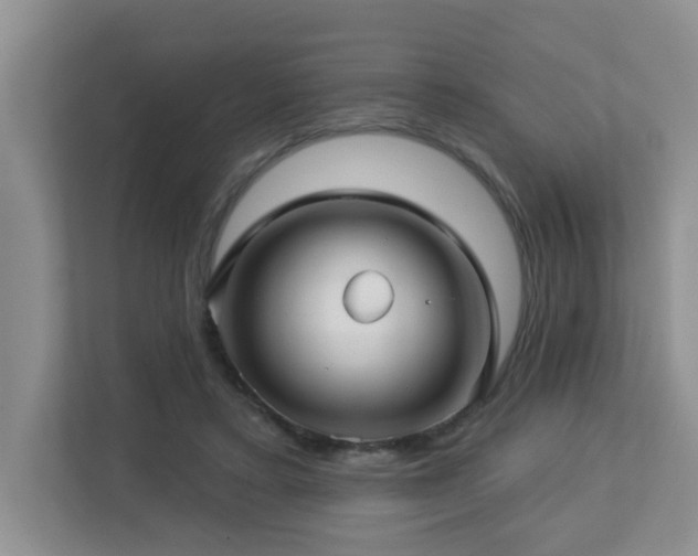 X0000112760403200908201442
