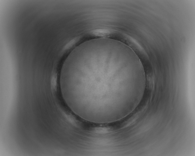 X0000112760404200908201442