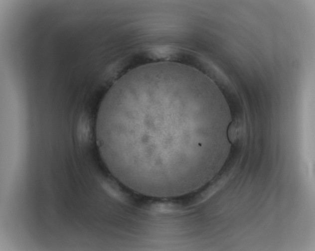 X0000112760408200908201442