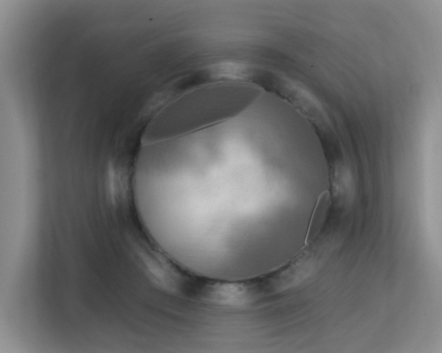 X0000112760409200908201442