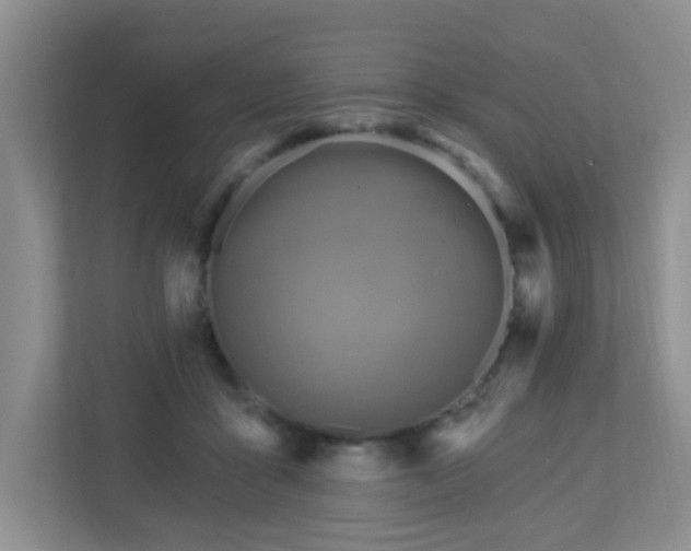 X0000112760411200908201442