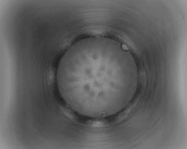 X0000112760412200908201442