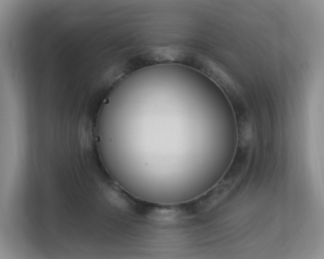 X0000112760414200908201442