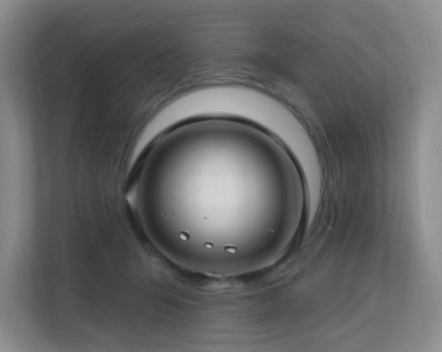 X0000112760415200908201442