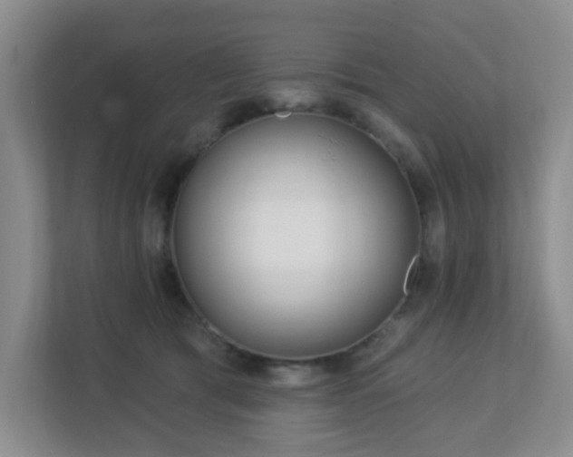 X0000112760417200908201442