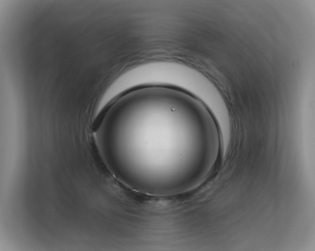 X0000112760419200908201442