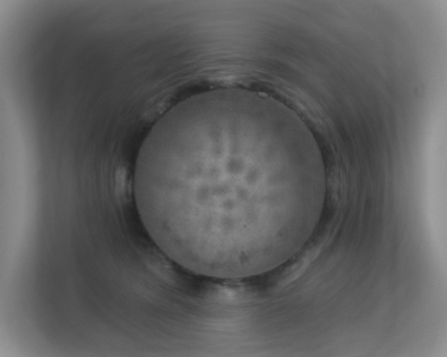 X0000112760420200908201442