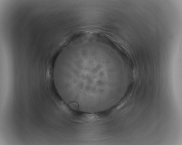 X0000112760424200908201442