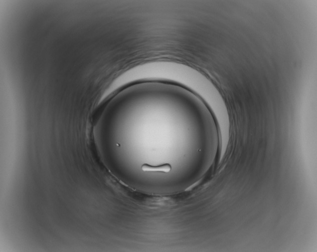 X0000112760427200908201442