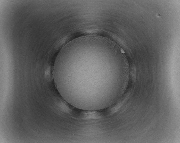 X0000112760428200908201442