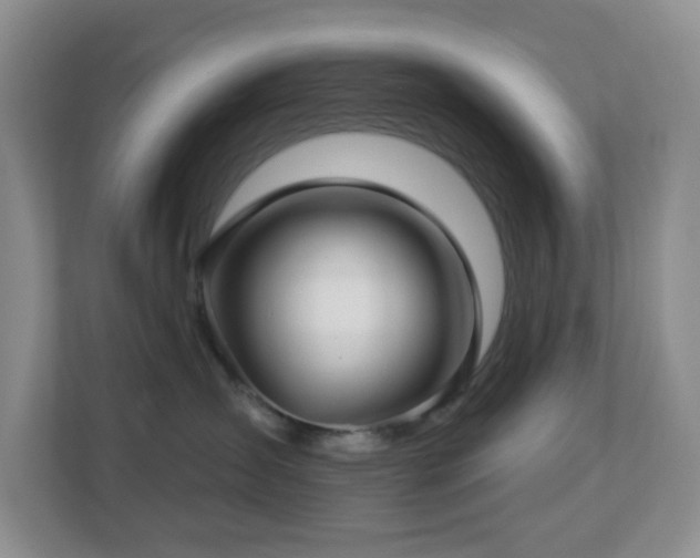 X0000112760431200908201441