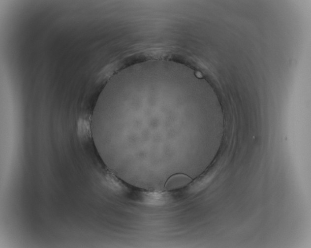 X0000112760432200908201441