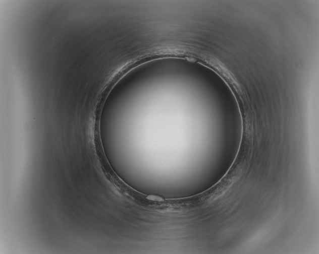 X0000112760434200908201441
