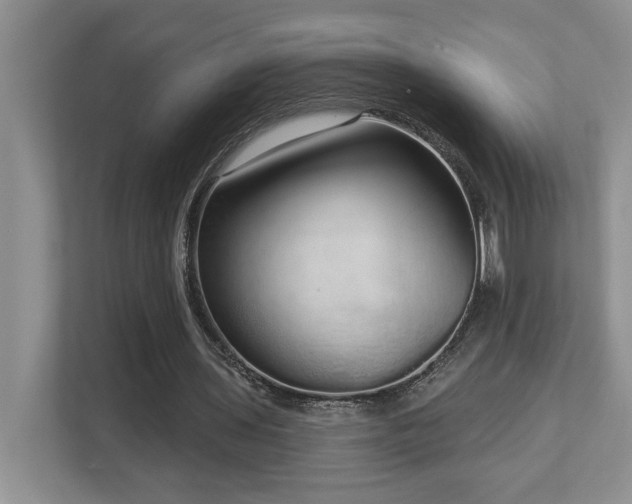 X0000112760435200908201441