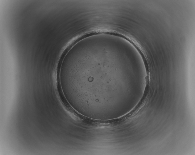 X0000112760438200908201441