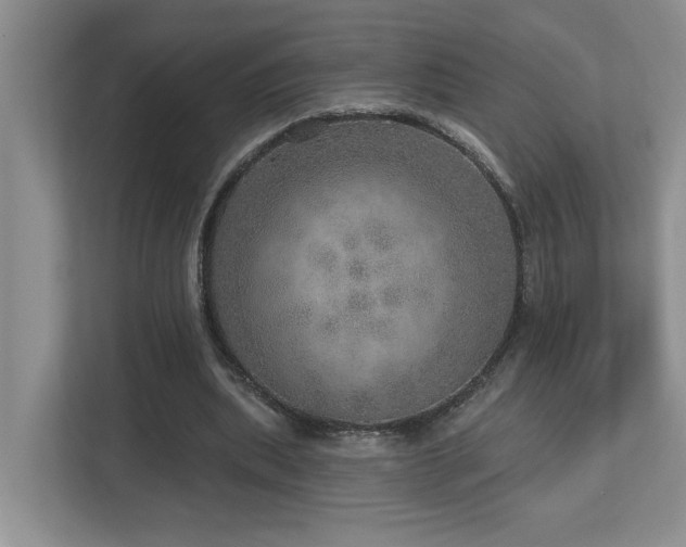 X0000112760439200908201441