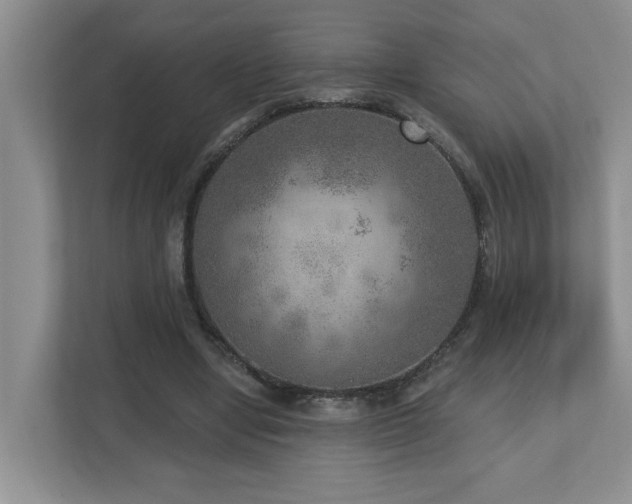 X0000112760442200908201441