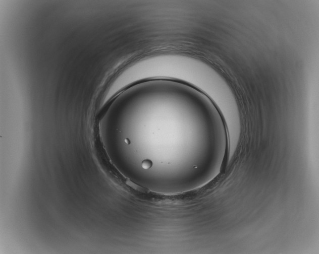 X0000112760444200908201441