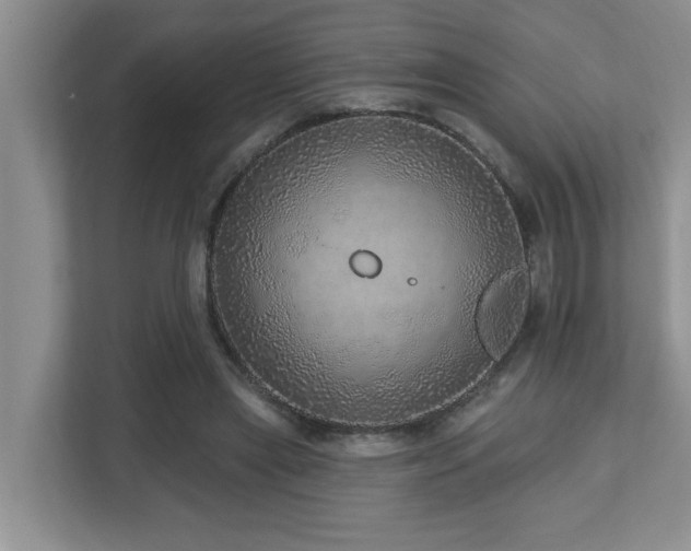X0000112760445200908201441