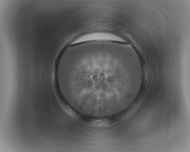 X0000112760447200908201441