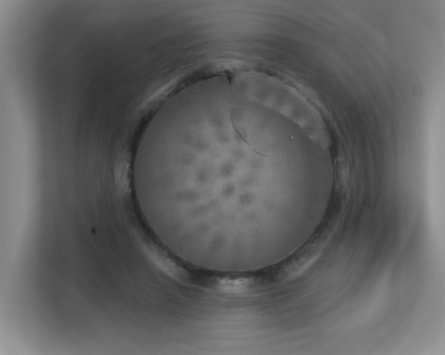 X0000112760450200908201441