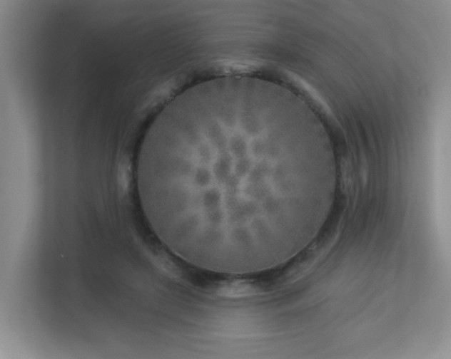 X0000112760451200908201441