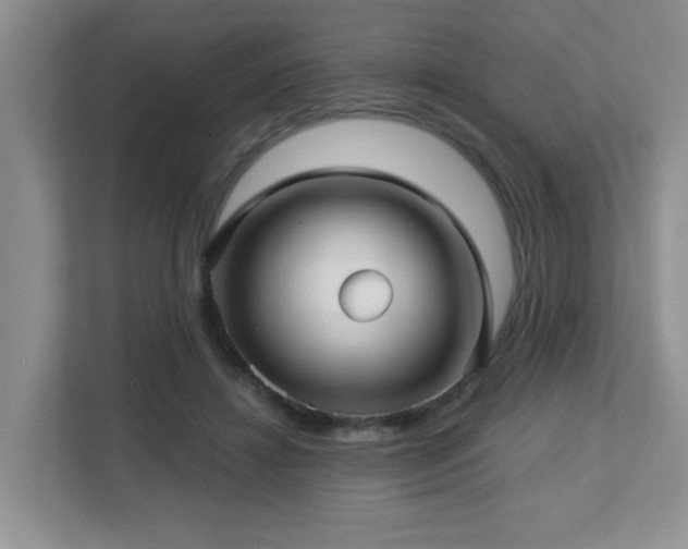 X0000112760452200908201441