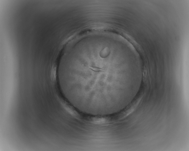 X0000112760454200908201441