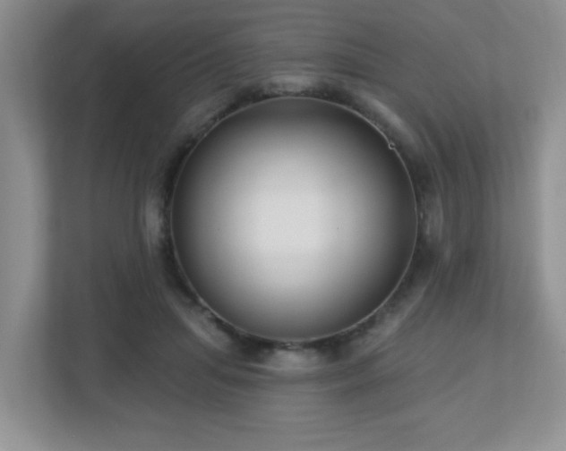 X0000112760455200908201441