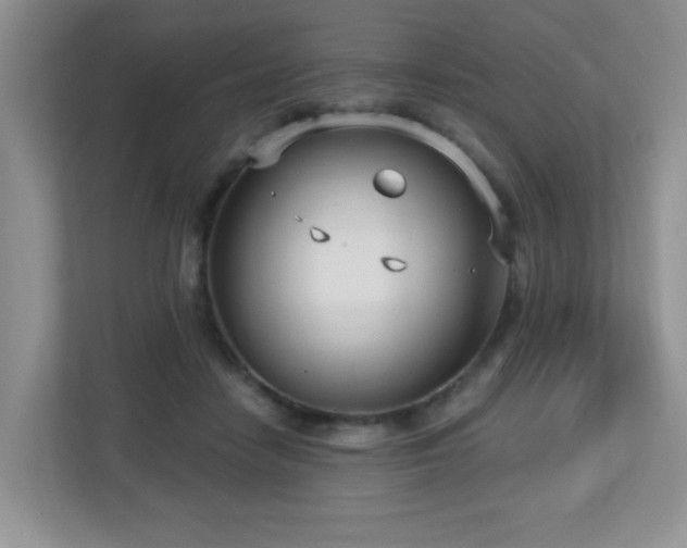 X0000112760458200908201441